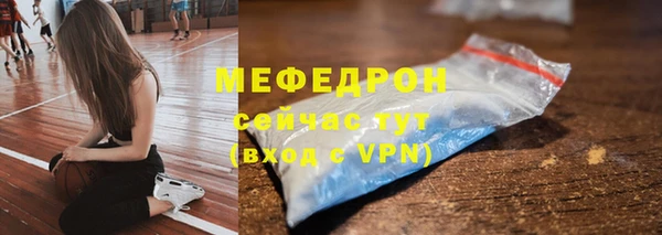 прущие грибы Богданович