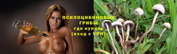 прущие грибы Богданович