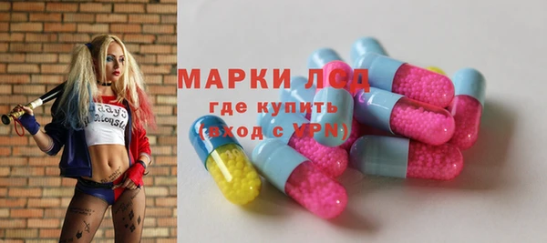 прущие грибы Богданович