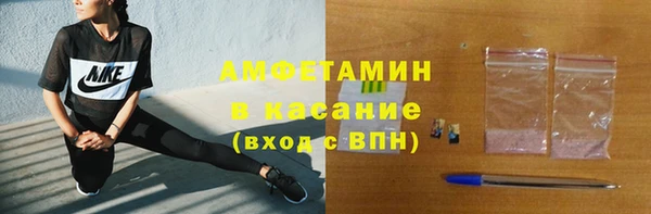 прущие грибы Богданович