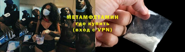 прущие грибы Богданович