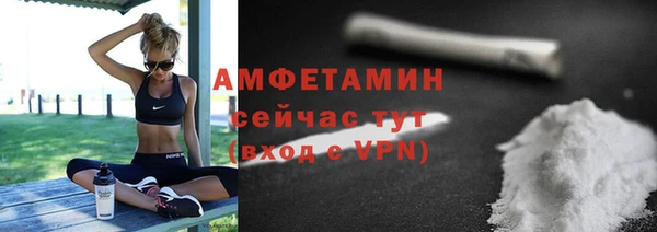 прущие грибы Богданович