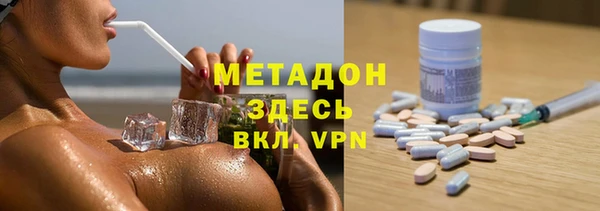 прущие грибы Богданович