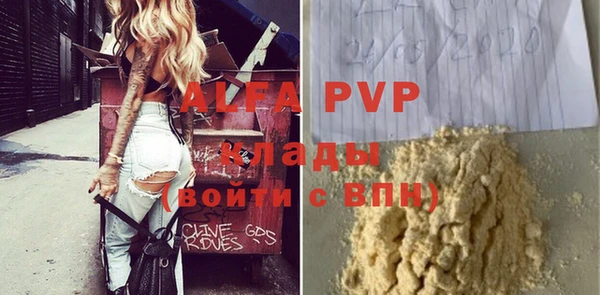 прущие грибы Богданович