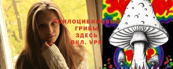 прущие грибы Богданович