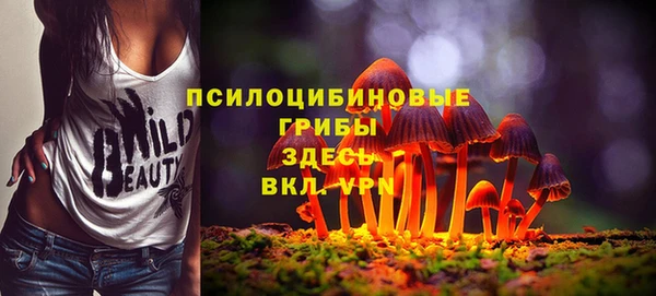 прущие грибы Богданович