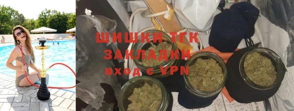 прущие грибы Богданович