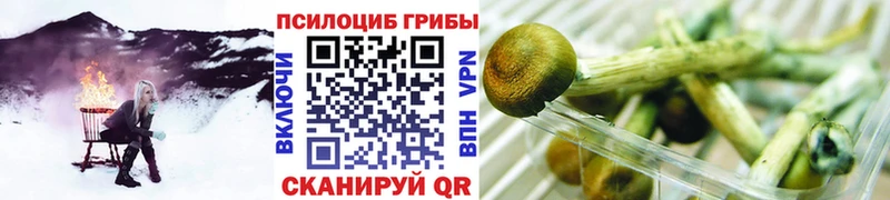 Галлюциногенные грибы прущие грибы  купить наркоту  Надым 